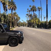 Отзыв от Глеб - DTV виза